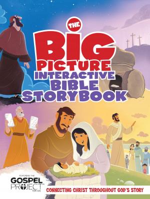 Cover of the book The Big Picture Interactive Bible Storybook by Vicki Courtney