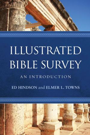 Book cover of Illustrated Bible Survey