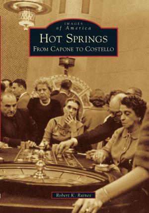 Cover of the book Hot Springs by Charlotte Taylor