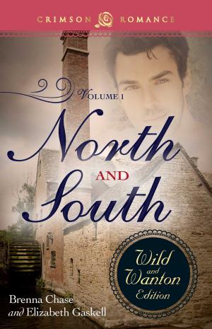 Cover of the book North And South: The Wild And Wanton Edition Volume 1 by Peggy Gaddis