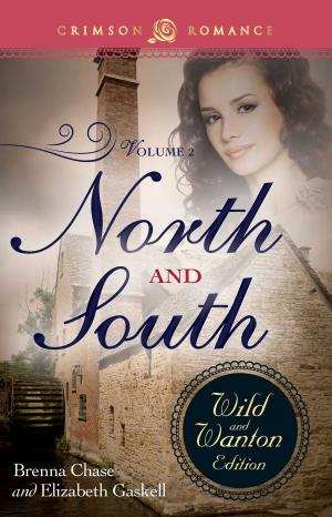 Cover of the book North And South: The Wild And Wanton Edition Volume 2 by Alicia Hunter Pace