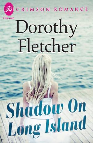 Book cover of Shadow on Long Island