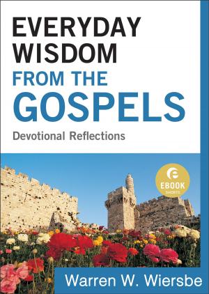 bigCover of the book Everyday Wisdom from the Gospels (Ebook Shorts) by 