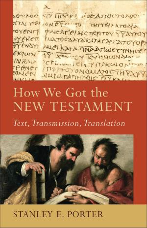 Cover of the book How We Got the New Testament (Acadia Studies in Bible and Theology) by Steven James
