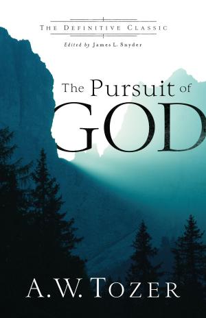 Cover of the book The Pursuit of God by Marlena Graves