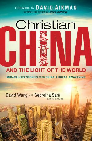 Book cover of Christian China and the Light of the World