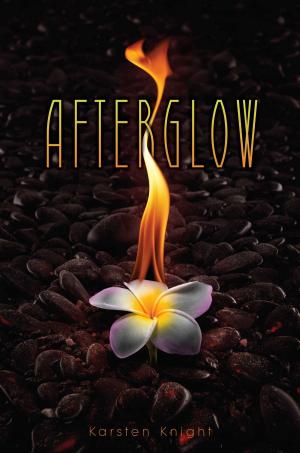 Cover of the book Afterglow by Arin Andrews, Katie Rain Hill