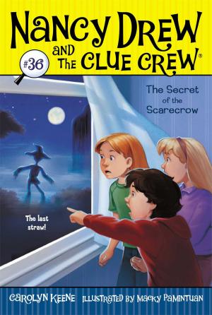 Cover of the book The Secret of the Scarecrow by C.W. Anderson