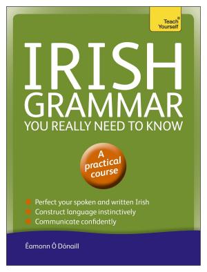 Cover of the book Irish Grammar You Really Need to Know: Teach Yourself by Zoe Sugg