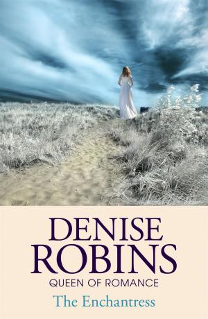 Cover of the book The Enchantress by Donna Dickenson