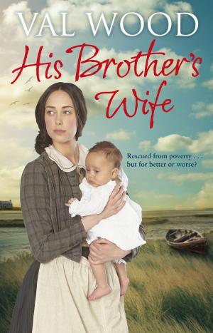 Cover of the book His Brother's Wife by David Brining