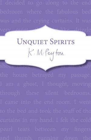 Cover of the book Unquiet Spirits by Robert Swindells