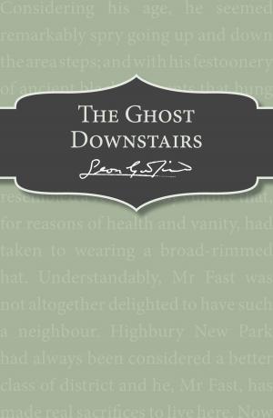 Book cover of The Ghost Downstairs