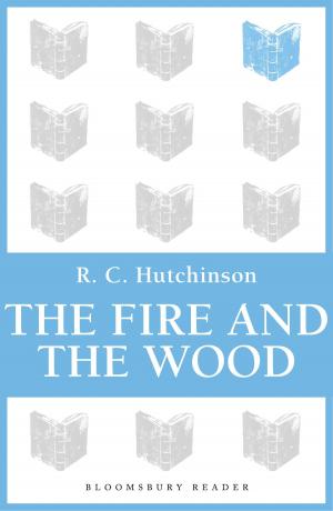 Book cover of Fire and the Wood