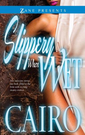 Book cover of Slippery When Wet
