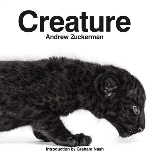 bigCover of the book Creature by 