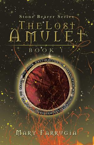 Cover of the book The Lost Amulet by Marilyn Marsh