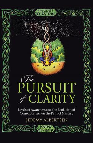 Cover of the book The Pursuit of Clarity by Marilyn Pelz, Kent Pelz
