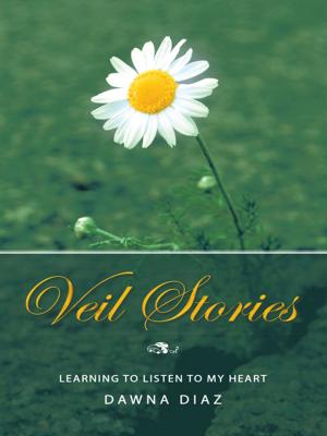 Cover of the book Veil Stories by Kaye Michelle
