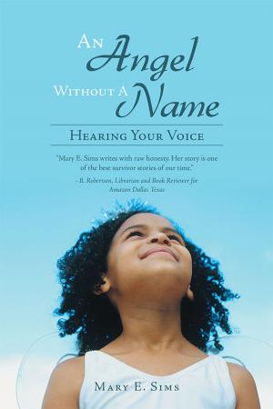 Cover of the book An Angel Without a Name by Rev. Mary Linn Clarke