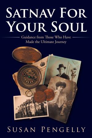 Cover of the book Satnav for Your Soul by Carolyn Garvin