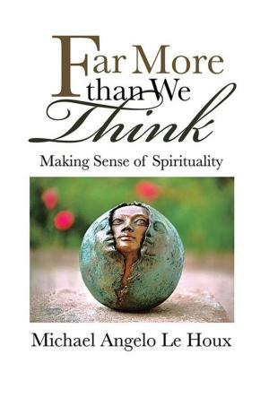 Cover of the book Far More Than We Think by Robin Rae Morris