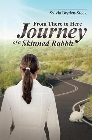 Book cover of From There to Here—Journey of a Skinned Rabbit