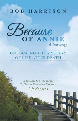 Cover of the book Because of Annie by Eric Z. Lucas