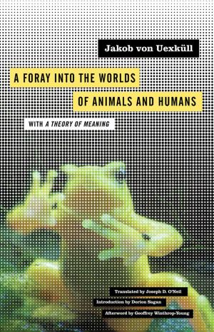 Cover of the book A Foray into the Worlds of Animals and Humans by Vilém Flusser