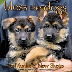 Cover of the book Bless the Dogs by Chrissie Wellington