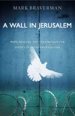 Cover of the book A Wall in Jerusalem by Jim Kraus