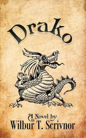 Cover of the book Drako by Evelda Mourn