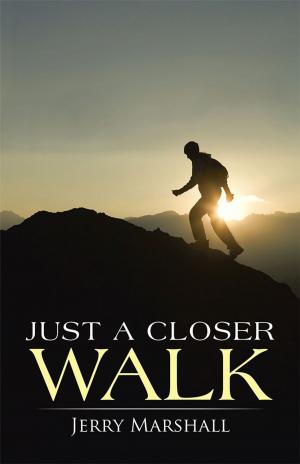 Cover of the book Just a Closer Walk by Pamela Wareham Washnock