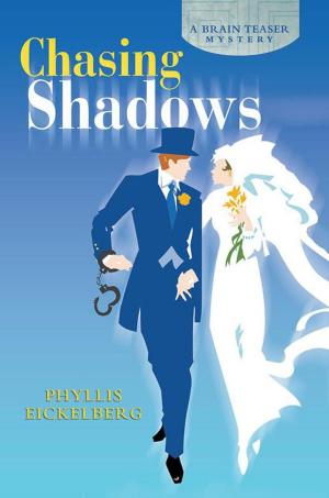 Cover of the book Chasing Shadows by Stormy Fanning