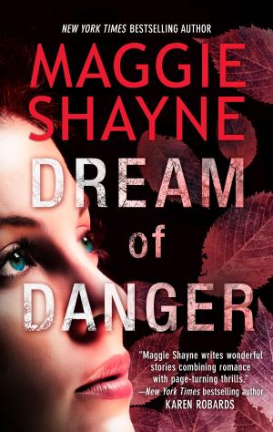 Cover of the book Dream of Danger by Susan Wiggs