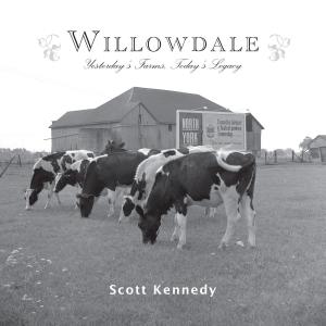 Cover of the book Willowdale by Dave Butler