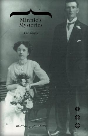 Cover of the book Minnie’s Mysteries by Anna Bella