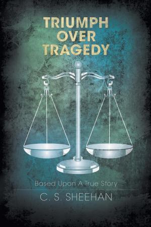Cover of the book Triumph Over Tragedy by V.J. Gage