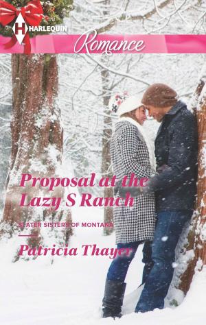 Book cover of Proposal at the Lazy S Ranch