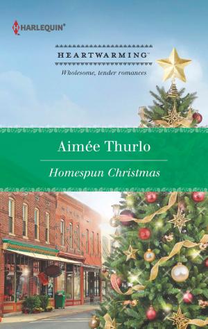Book cover of Homespun Christmas