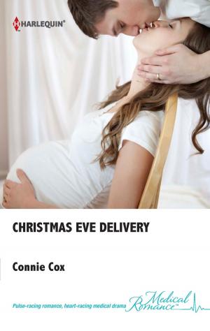 Cover of the book Christmas Eve Delivery by Sue Hecker