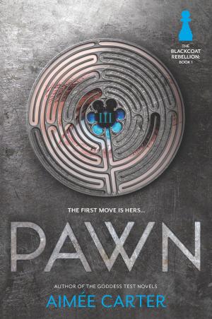 Cover of the book Pawn by Bronwyn Scott