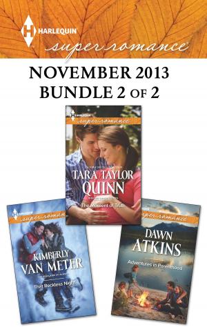 bigCover of the book Harlequin Superromance November 2013 - Bundle 2 of 2 by 