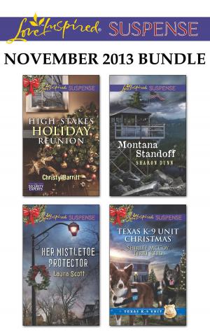 bigCover of the book Love Inspired Suspense November 2013 Bundle by 