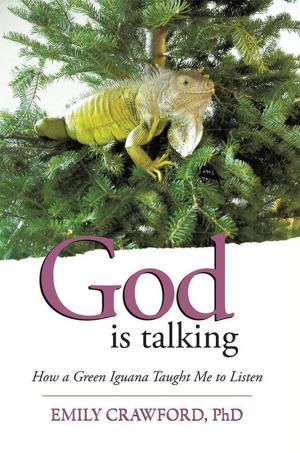 Cover of the book God Is Talking by Jim Kuty