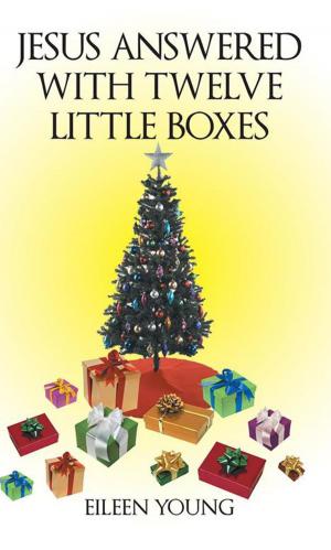 Cover of the book Jesus Answered with Twelve Little Boxes by Veronica Sue Arnold