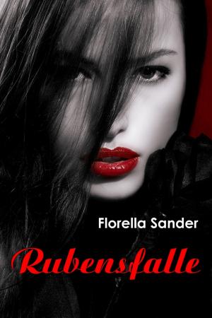 Cover of the book Rubensfalle by Adrian Ravelo