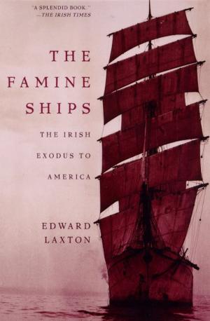 Cover of the book The Famine Ships by Gerry FitzGerald