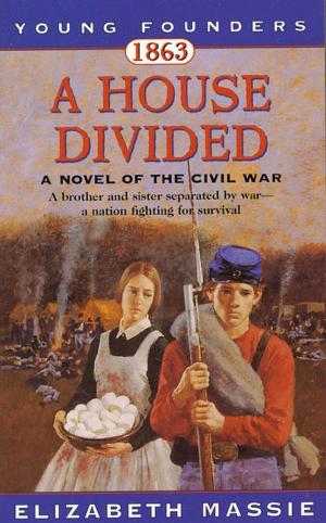 Book cover of 1863: A House Divided