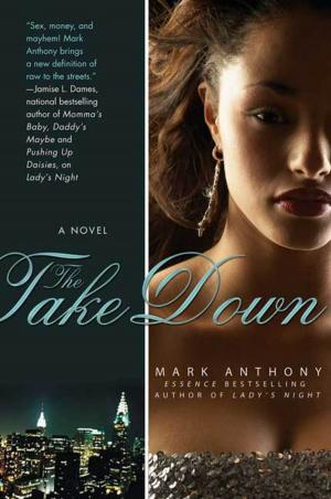 Cover of the book The Take Down by Dana Haynes